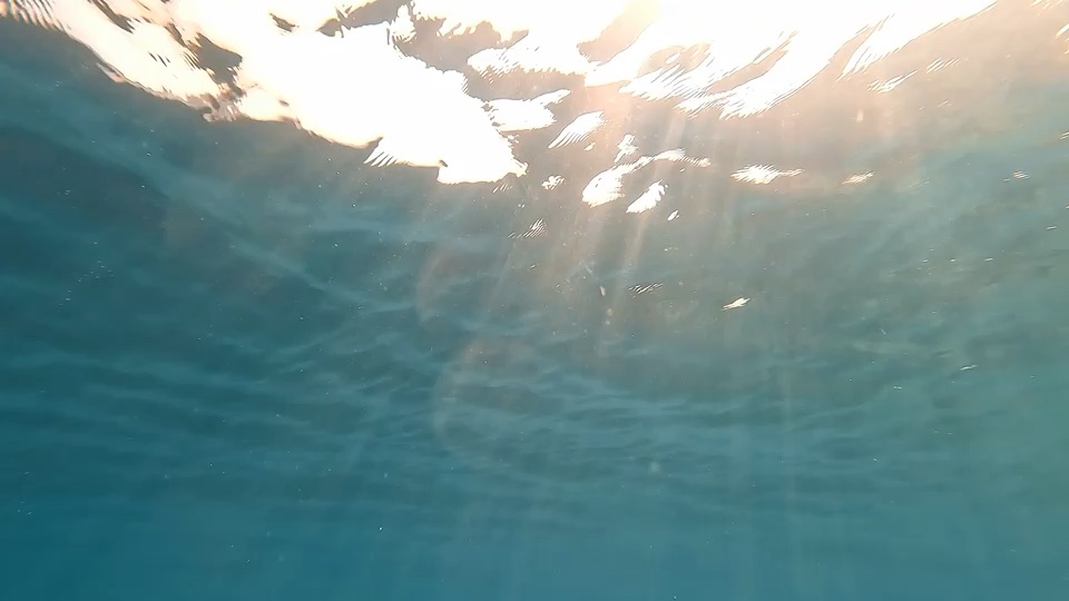 Hormone therapy
